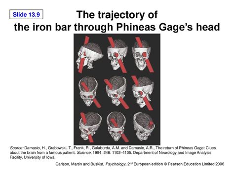 The trajectory of the iron bar through Phineas Gage’s head - ppt download