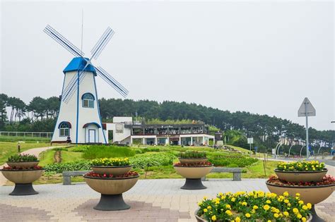 Things to Do in Ulsan - Ulsan travel guide - Go Guides