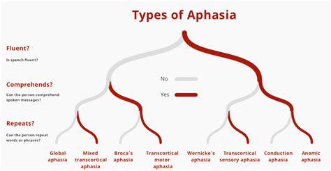 Aphasia: types, symptoms and causes