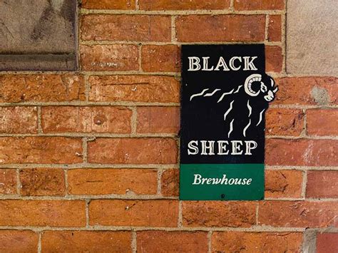 Black Sheep Brewery Visitor Centre - Herriot Country, home to All ...