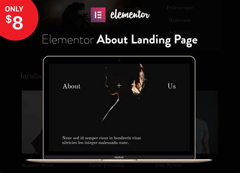 Elementor Landing Page Template | UI Kits and Libraries ~ Creative Market