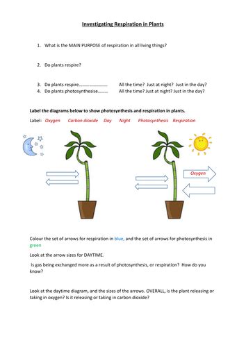 Respiration in plants - experiment using hydrogen carbonate indicator | Teaching Resources