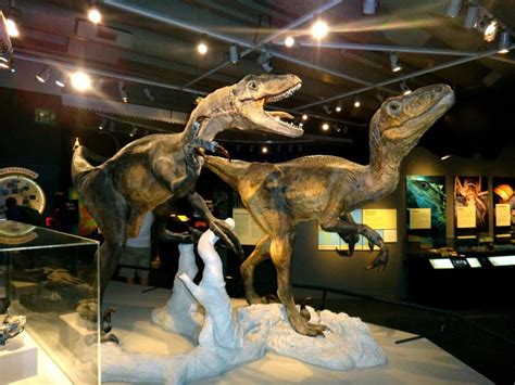 10 Reasons Why The Te Papa Museum is Simply Unmissable - NZ Pocket Guide