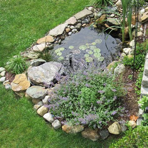 How to Make a Bog Garden in a Spring - Gardener Corner