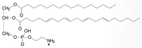 Biochemical Properties of Lipids - The Medical Biochemistry Page