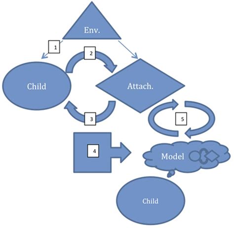 A schematic model of the development of an internal working model for... | Download Scientific ...