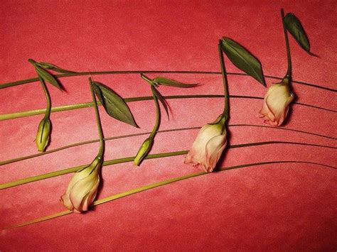 flowers and music... Music Pics, Music Pictures, Music Stuff, Music Artwork, Friedrich Nietzsche ...