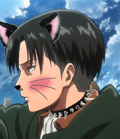 levi × hange pfp ♡ in 2021 | Anime, Attack on titan, Matching pfp