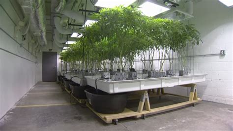 List of Ohio marijuana dispensary locations released. | wkyc.com