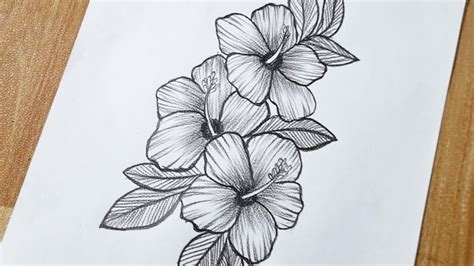 Hibiscus Flower Drawing Hibiscus Flower Tattoos Drawi - vrogue.co