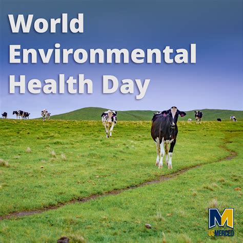 World Environmental Health Day | Sustainability