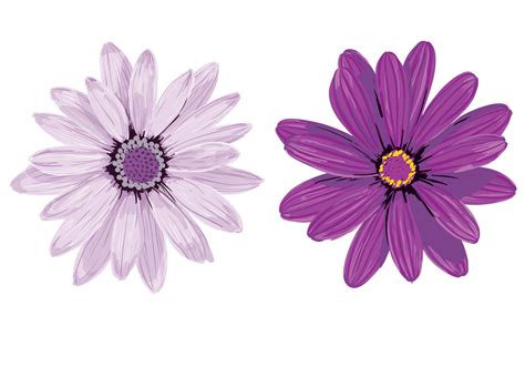 Purple Flower Vectors - Download Free Vector Art, Stock Graphics & Images