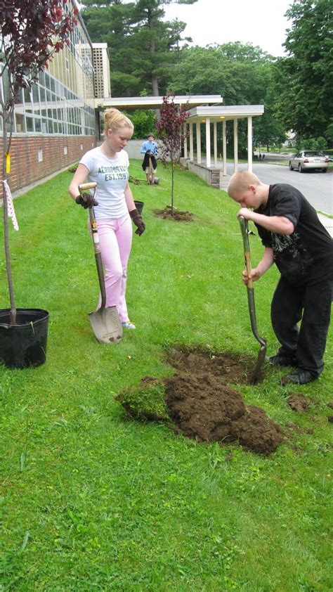 Worcester Tree Initiative (Tree Warden): Doherty Memorial High School