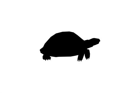 Turtle Silhouette Graphic by Artsolidesign · Creative Fabrica