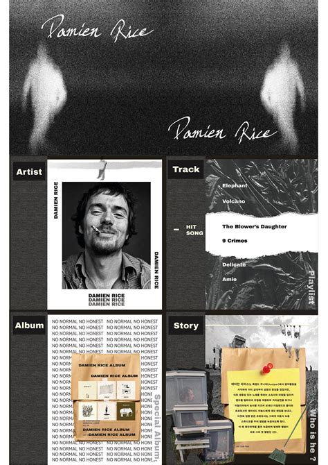 DAMIEN RICE - ALBUM DESIGN on Behance