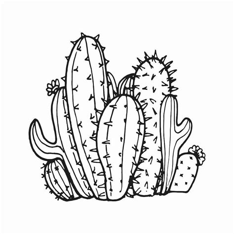 Free 130 Cactus Outline Svg Free SVG PNG EPS DXF File