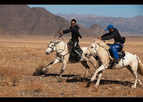 1000+ images about Mongolian Horse on Pinterest