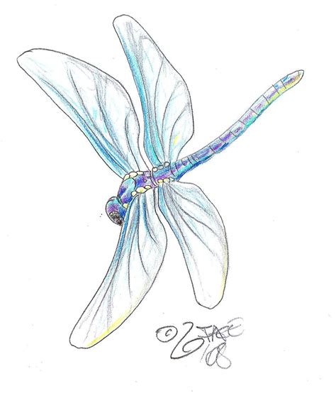 Image Detail for - http://www.deviantart.com/download/75999172/Dragonfly_Tattoo | Dragonfly ...