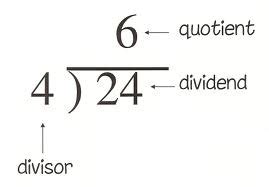 Dividend: Definition & Overview - Video & Lesson Transcript | Study.com