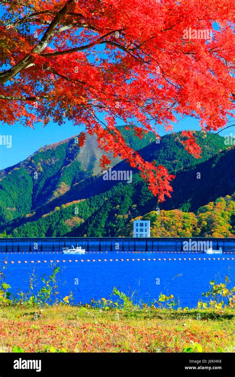 Lake Okutama Autumn Foliage Tokyo Japan Stock Photo - Alamy