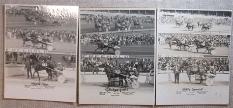 Lot of 3 Winners Circle Pictures Freehold Raceway Sulkies Horse Racing 1972-1973 | eBay