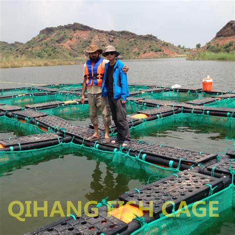 Carp Fish Farming, Catfish Farming Equipment for Sale - Farming ...