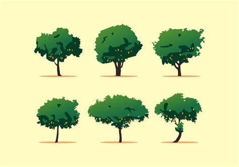 FREE MANGO TREE VECTOR 107831 Vector Art at Vecteezy