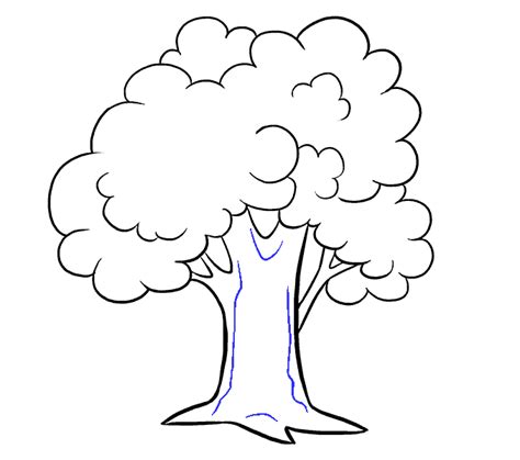 How to Draw a Cartoon Tree | Easy Step by Step Drawing Guides | Tree ...