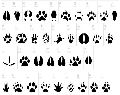 animal footprints free - Clip Art Library