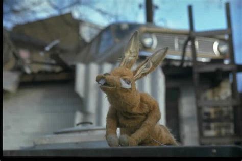 Pipkins (Hartley Hare) | I remember when... | Pinterest