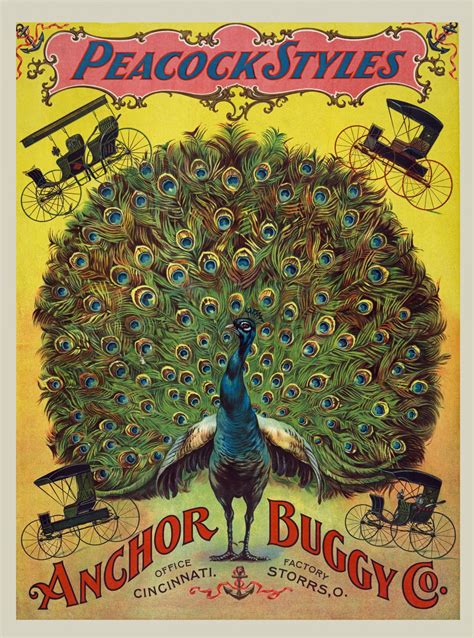 Peacock Style Carriages Poster Free Stock Photo - Public Domain Pictures