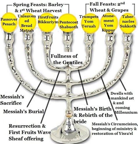 The Meaning of the Eighth Day (Pt 7 Eighth Day-Meaning of Menorah ...