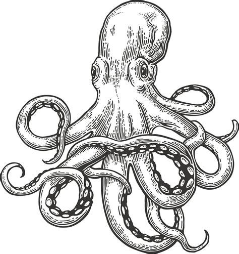 Decals, Stickers & Vinyl Art Home & Garden Octopus Drawing Car Vinyl ...