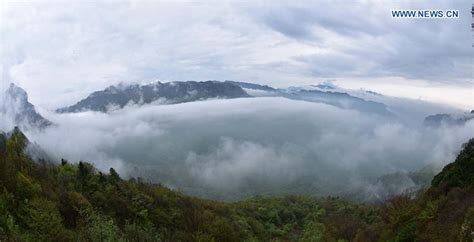 Images of the Most Spectacular Forest of China: Shennongjia