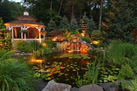 Best Pond Plants for Shady Areas