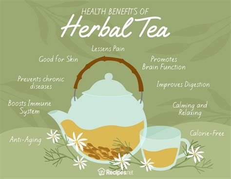 9 Herbal Tea Benefits and Best Types of Herbal Tea to Drink - Recipes.net