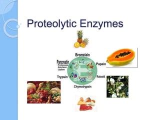 Proteolytic enzymes | PPT