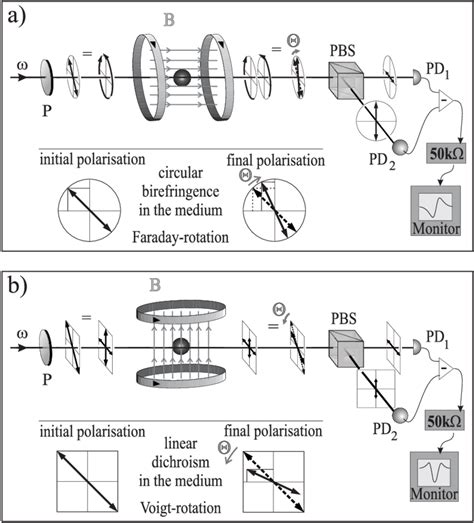 Sketch of the experimental set-up for measuring the Faraday (a) and... | Download Scientific Diagram