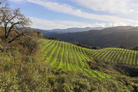 Santa Cruz Mountains Wineries Day Trip | kimkim