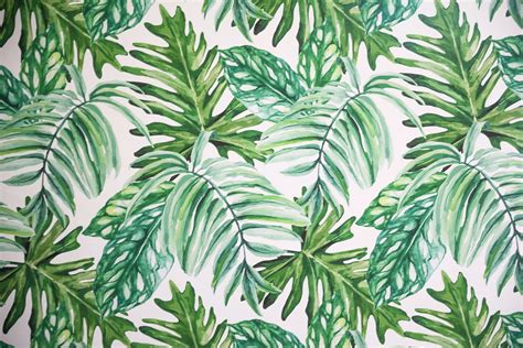 Tropical Leaves 4k Wallpapers - Wallpaper Cave