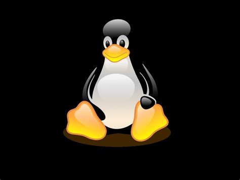 🔥 [40+] Tux Penguin Wallpapers | WallpaperSafari