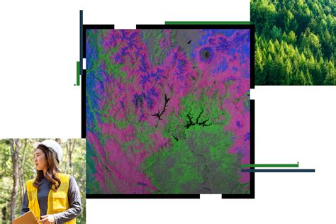 Forest Management | Forest Mapping Using GIS