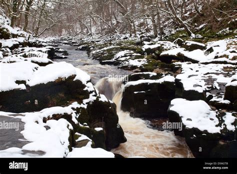 The Strid in Winter Bolton Abbey Yorkshire England Stock Photo - Alamy