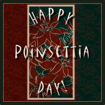 Poinsettia Day, Free Poinsettia Day eCards, Greeting Cards | Godzee ...