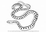 How To Draw A Common Garter Snake Reptiles Step By  sketch template