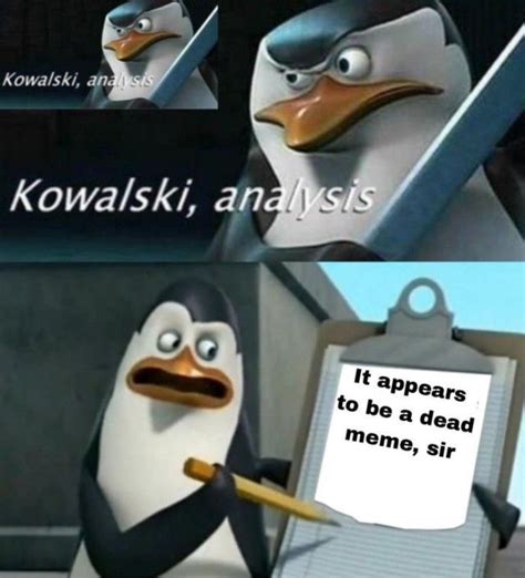 Kowalski, Analysis | Mega Memes LOL | Best funny jokes, Kowalski analysis, Stupid memes