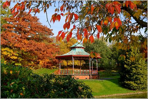 Autumn at Sefton Park Liverpool 31st October 2016 | The earl… | Flickr