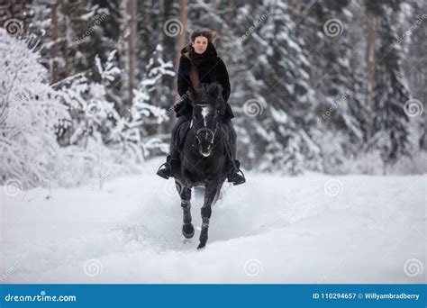 Black Horse Running in Snow on Winter Background Stock Image - Image of mammal, horse: 110294657