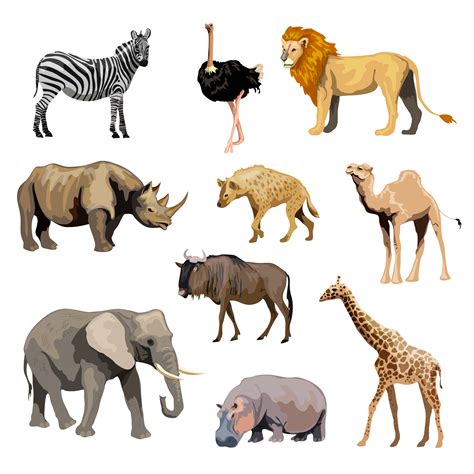 Wild African Animals Set 463326 Vector Art at Vecteezy