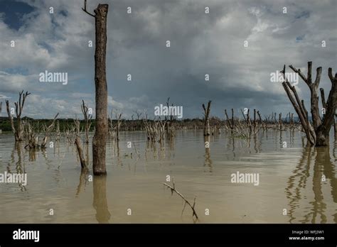 Lake Baringo National Park, Kenya, Africa Stock Photo - Alamy